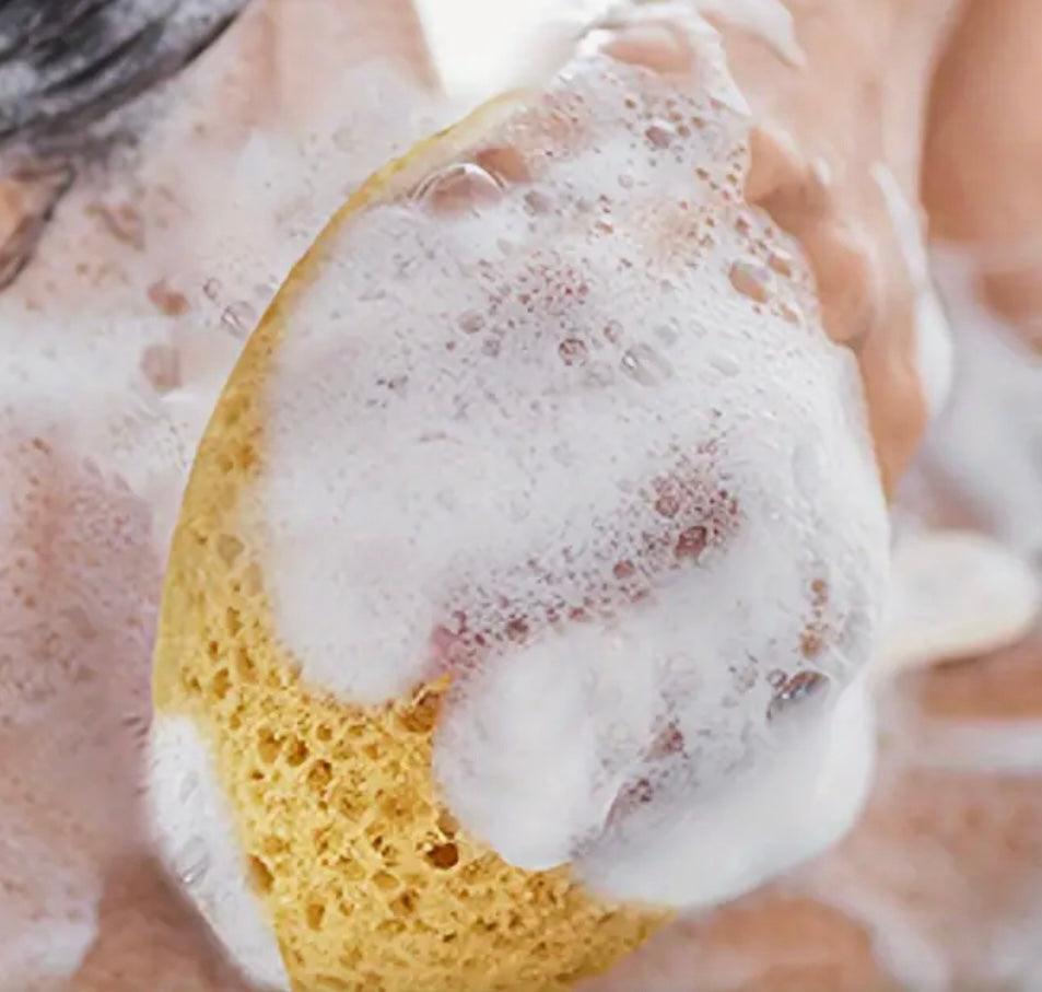 Honeycomb Seaweed Bath Sponge