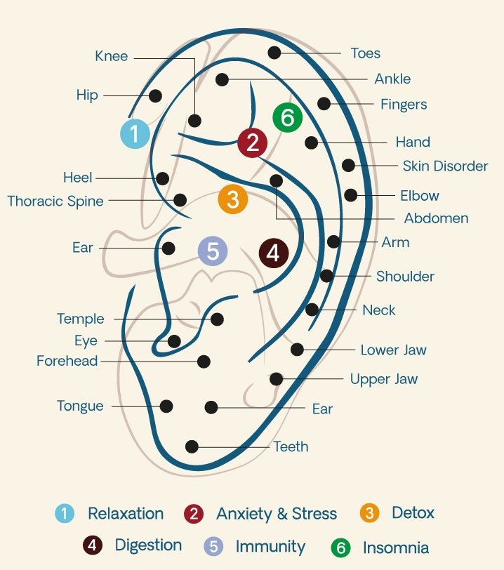 Ear Seeds