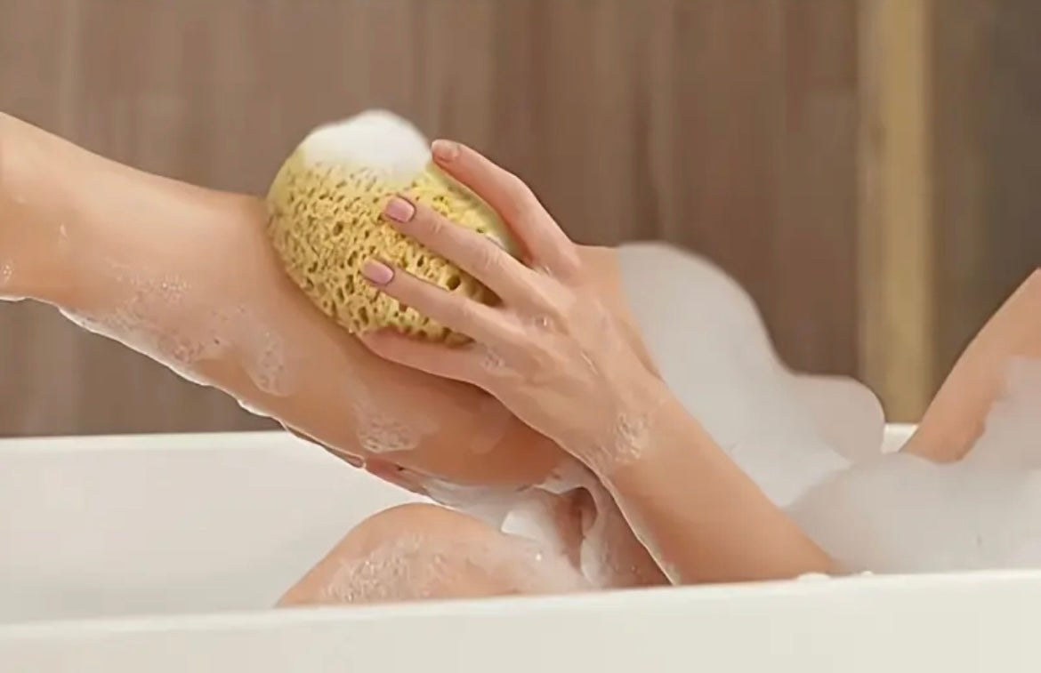 Honeycomb Seaweed Bath Sponge