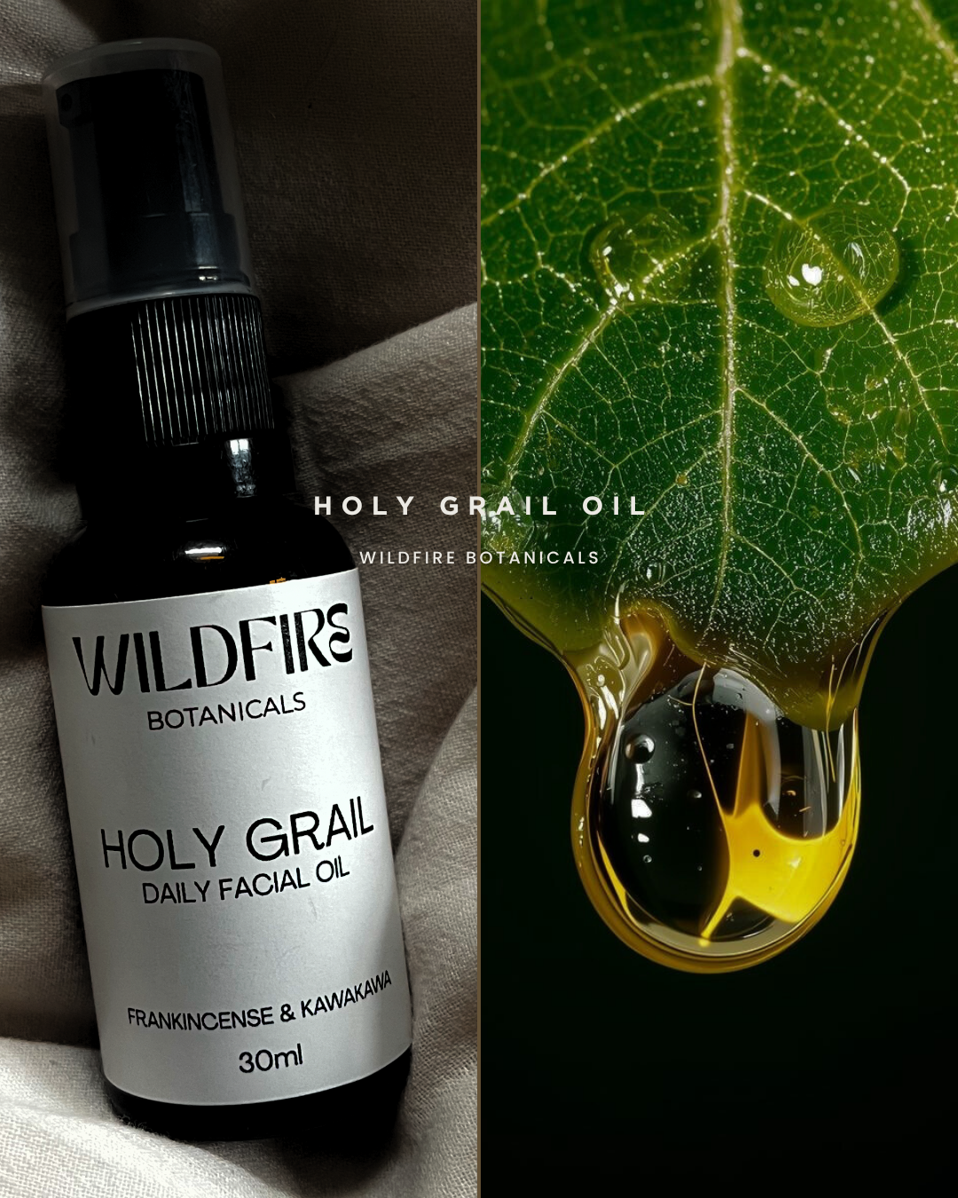 Holy Grail Oil